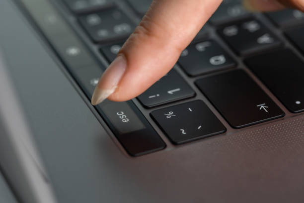Digitalizare la Primăria din Gura Vitioarei: Acum cu 20% mai mult praf pe calculator!