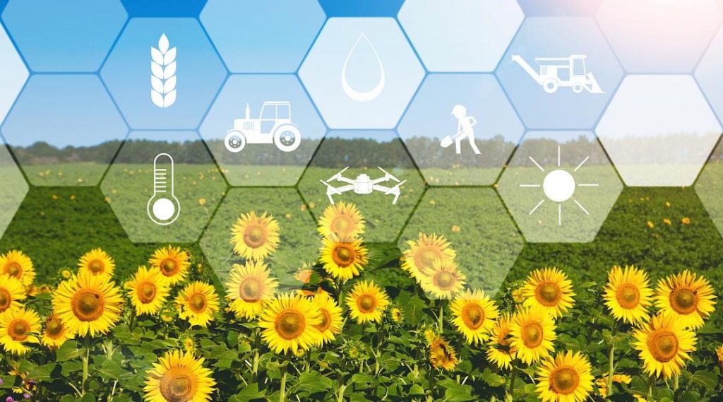 Inițiativa pentru sate inteligente („smart villages”)